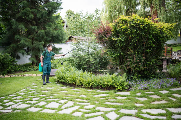 Best Pest Prevention Services  in East Renton Highlands, WA