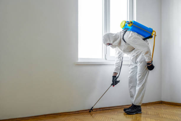 Best Residential Pest Control  in East Renton Highlands, WA