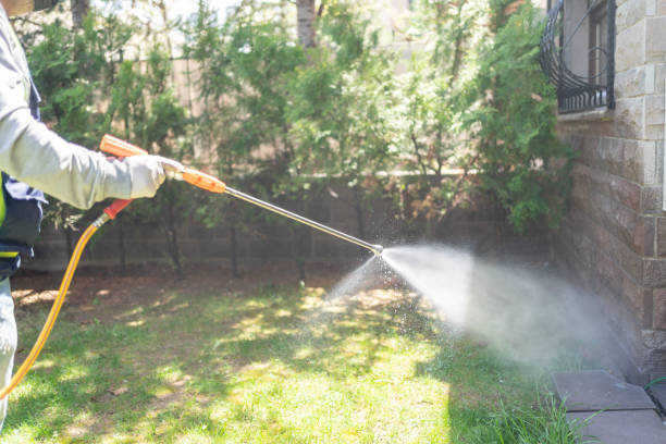Best Rat Extermination Near Me  in East Renton Highlands, WA
