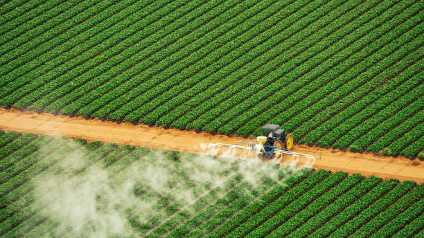 Best Mosquito Control Services  in East Renton Highlands, WA