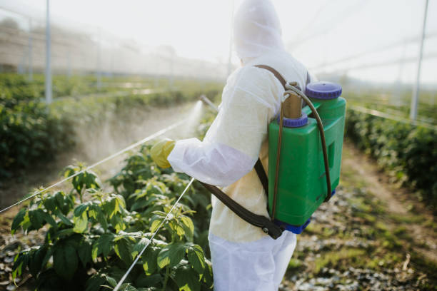 Best Affordable Pest Control Services  in East Renton Highlands, WA